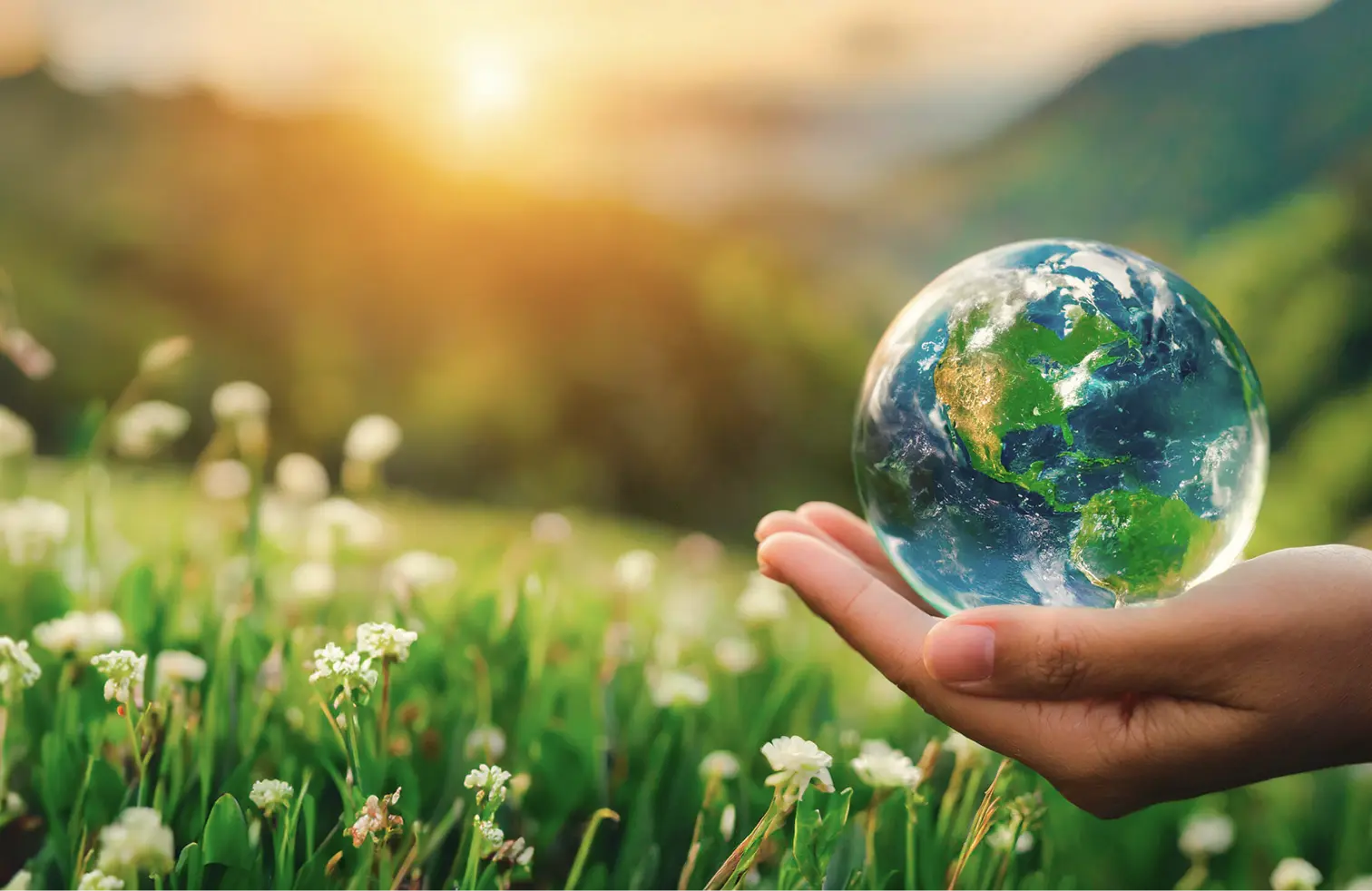 Чистый мир и яркие краски