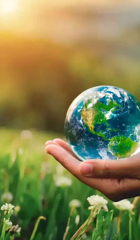 Чистый мир и яркие краски